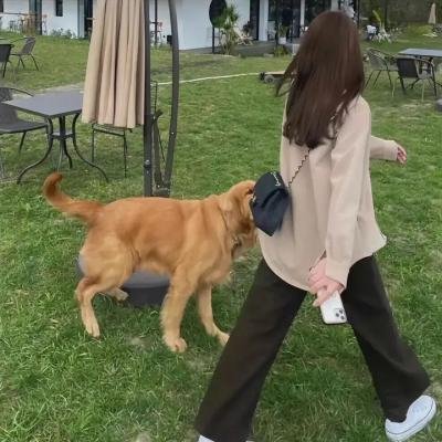 我在看著你